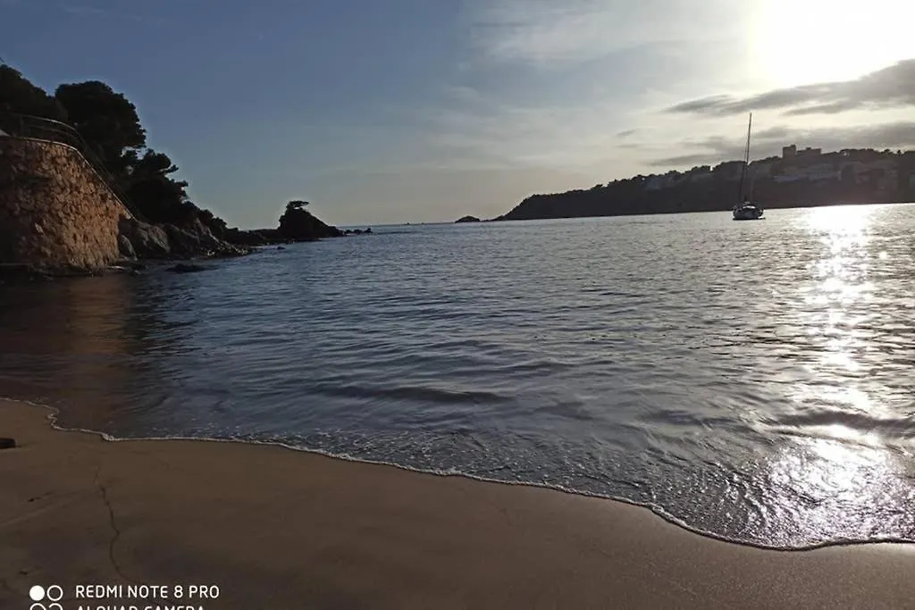 Apartamento Super Acogedor En Costa Brava Apartamento Sant Feliu de Guíxols España